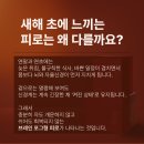 몸앤장한의원 | [몸앤장 한의원] 공진단 • 경옥고 지금부터 챙겨야하는 이유