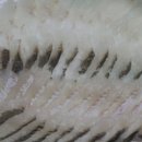 영해횟집 - 포항시 북구 양학로 82 | 영해횟집