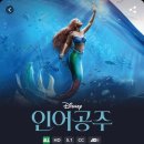 디플 이미지