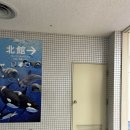 돌고래 보조풀장 | 나고야항수족관 관람동선, 돌고래쇼 범고래쇼 시간, 위치, 명당자리, 꿀팁