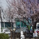 넓은마당어린이집 이미지