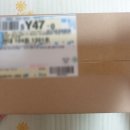 루츠돌스 이미지