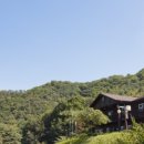 영인산수목원 네이버블로그