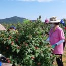 고창보건소 이미지