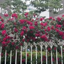 염창극동(아) 이미지