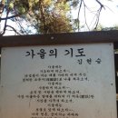 면천 아미산 몽산성 이미지