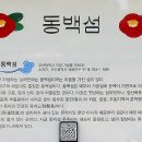 티룸동백 이미지