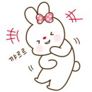 새벽설기 이미지