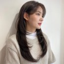 봄;헤어룸 이미지