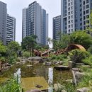 8월신촌 이미지