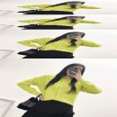 P-7802 이미지