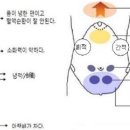 복부 냉증 적취(뭉침 증상), 잦은 체기, 턱관절통증어깨와 목이 뻣뻣한 항강증의 원인과 치료 방법 이미지