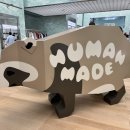 잠실 롯데월드몰 휴먼메이드(HUMAN MADE) 오픈런 후기! 잠실 한정 너구리 & 베르디 콜라보 티셔츠 득템