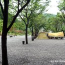 푸른쉼터 이미지