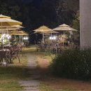 브라운피크닉 이미지