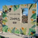 그레이스830 이미지