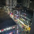 코티스 더 브릿지 이미지