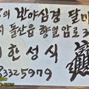 무명초