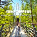 장태산휴양림 | 대전 장태산 자연휴양림 계곡 나들이 드라이브코스 추천