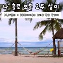 헤어망고플러스 | [보홀]물친자의 나 홀로 보홀 2주살이 10,11일차 BBC 데이유즈 후기 발릭얀 망고알러지