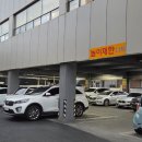 태화강민물장어 이미지