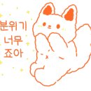 카페;하라리 이미지