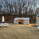 탕정면 삼성로 | 천안 아산 크리스마스 분위기 애견동반가능 대형 카페 구루미 메뉴 가격 방문 후기