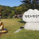 도덕산 캠핑장 이미지