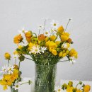 광평로10길(대모산1로) 이미지