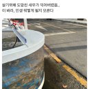 인형짱뽑고뽑기 이미지
