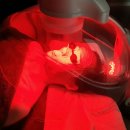 하라네이처 이미지