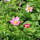 김건호농장 이미지