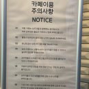 대한리트리버 | 리트리버카페 뭉스델리 후기