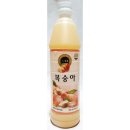 청솔 이미지