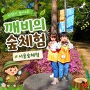 풀잎마을 | 서울숲체험 아이와 가기 좋은 깨비의숲마을🌿 숲체험 후기!