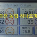 과천농협하나로마트 이미지