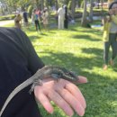 해피그래스 | [치앙마이 2025] 치앙마이 4일차 여행 후기(농부악공원 요가수업, 님만해민 구역, 재즈바 비교 등)