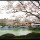 영암매점 이미지