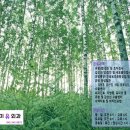 나유미유외과의원 이미지