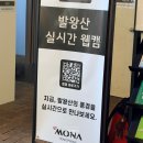 백두대간 | 평창 발왕산 케이블카 후기! 백두대간 파노라마를 한눈에 보다!