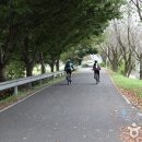 만경강길 3코스 이미지