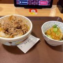 코코스김밥 | [일본여행 가성비 식당] 한끼 식사 5000원 규동집이 1조원 기업인 이유 — 요시노야·스키야·마츠야...