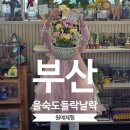 (GS)25부산을숙도점 | 부산 아이 체험 추천 을숙도 들락날락 주말 가족 원예체험