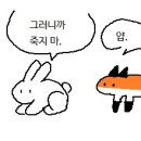 대화수퍼