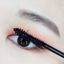 디디케이 이미지