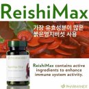 뉴스킨 레이뉴
