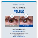세종안과 이미지