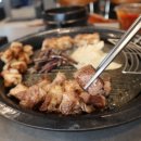 바로돼지 이미지
