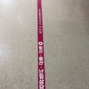 세종특별자치시보건소 | 세종시 가임력 검사 후기 2026년 기준, 보건소에서 뭐해주나?