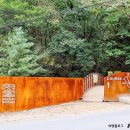 민둥산로 입구 네이버블로그